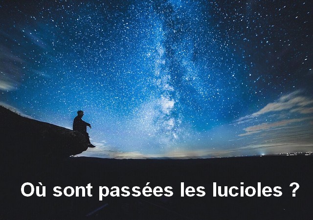 vidéo film Youtube «Où sont passées les lucioles ?» (59 min 42 sec)